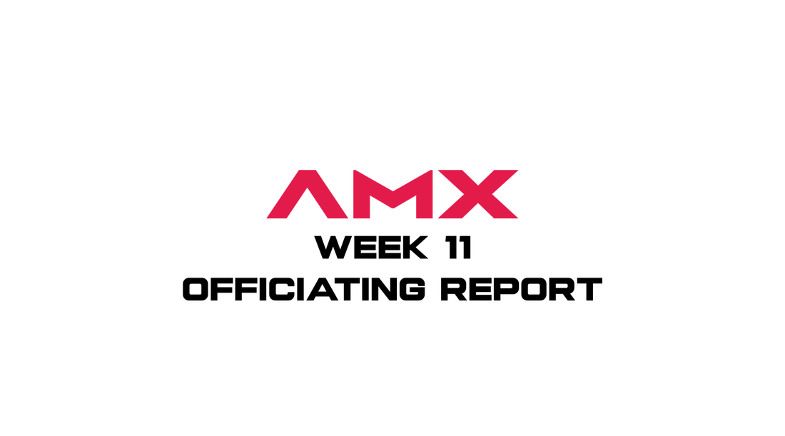 Week 11 Officiating Report